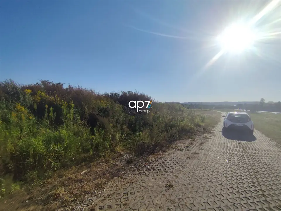 Zdjęcie 6