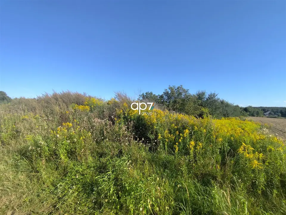 Zdjęcie 7