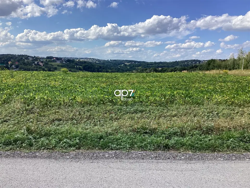 Zdjęcie 2