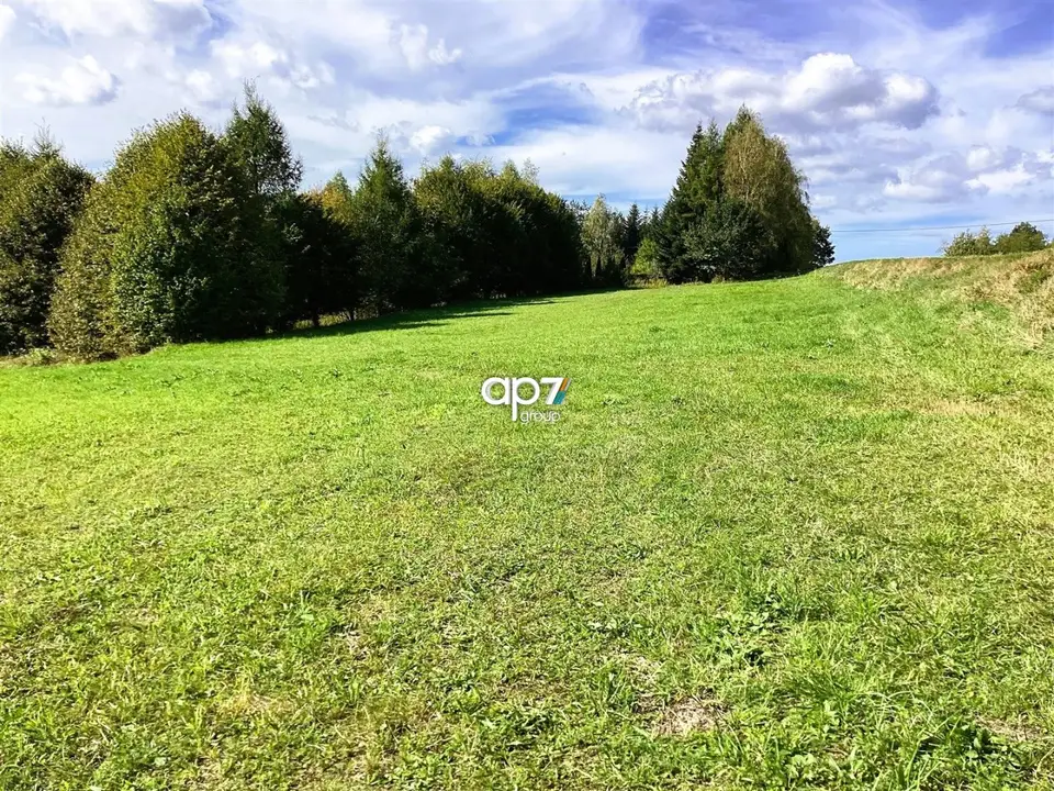 Zdjęcie 2