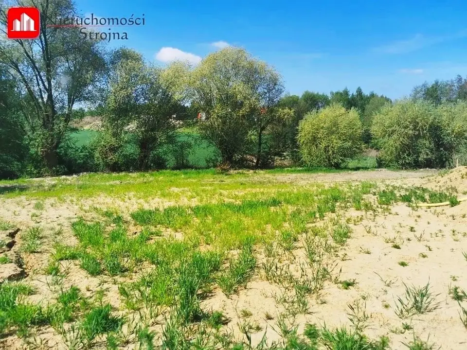 Zdjęcie 2