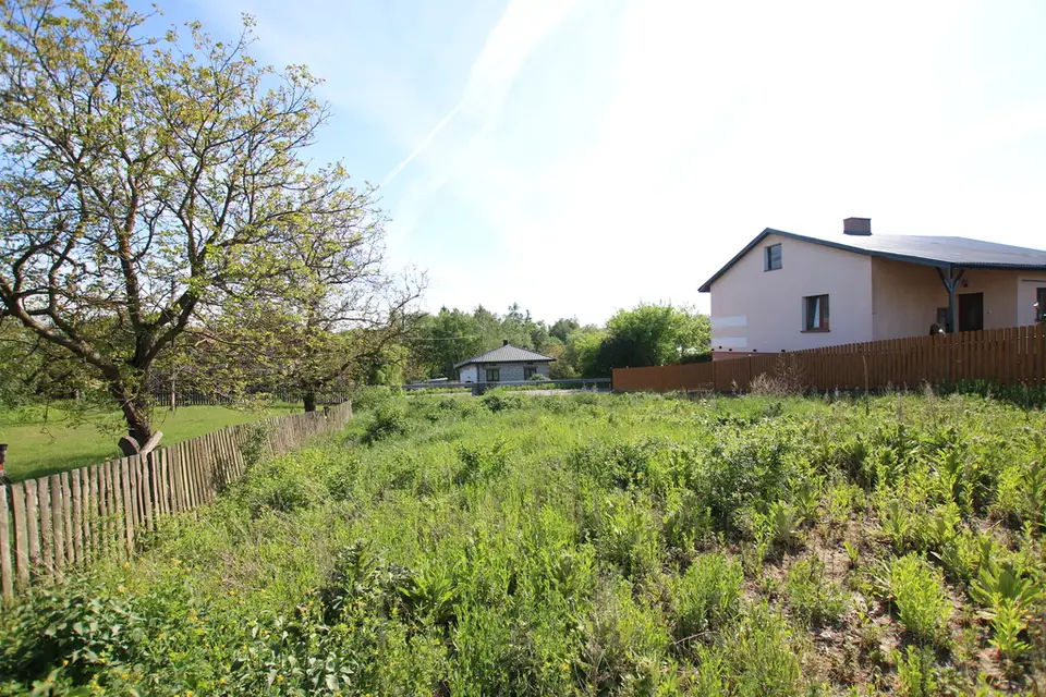 Zdjęcie 11
