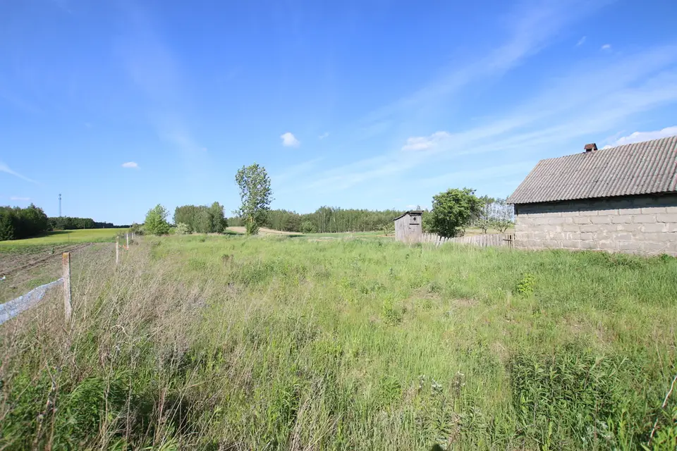 Zdjęcie 15