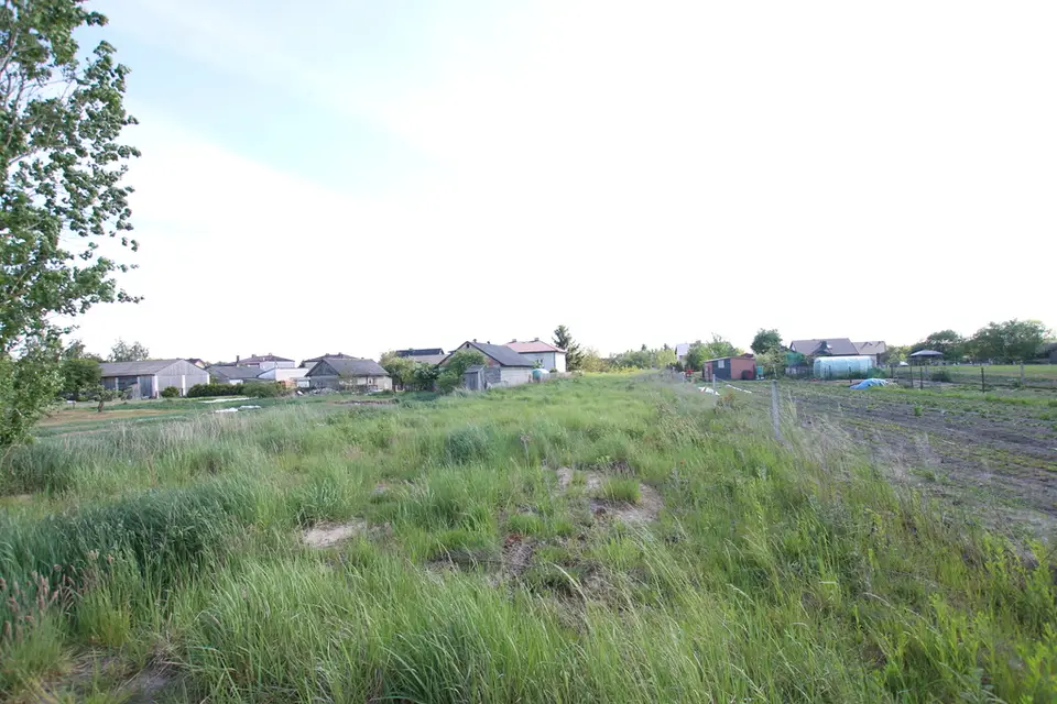 Zdjęcie 18