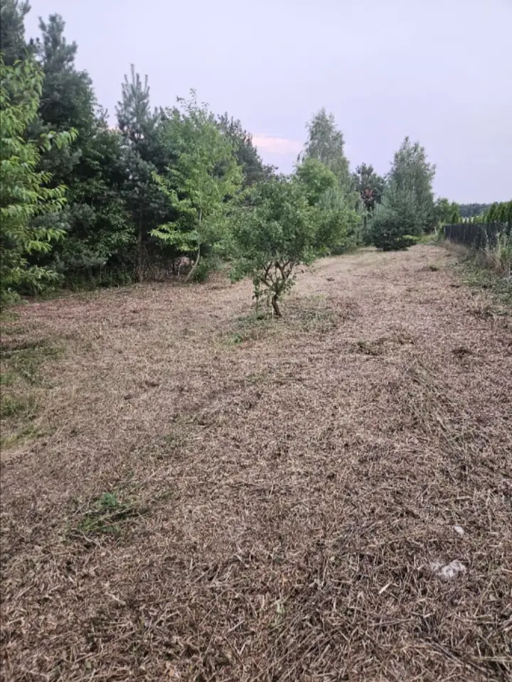 Zdjęcie 2