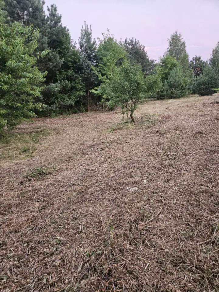 Zdjęcie 8