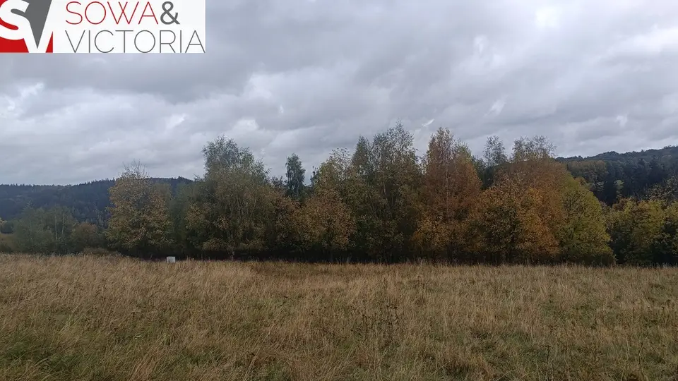 Zdjęcie 4