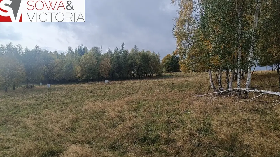 Zdjęcie 5