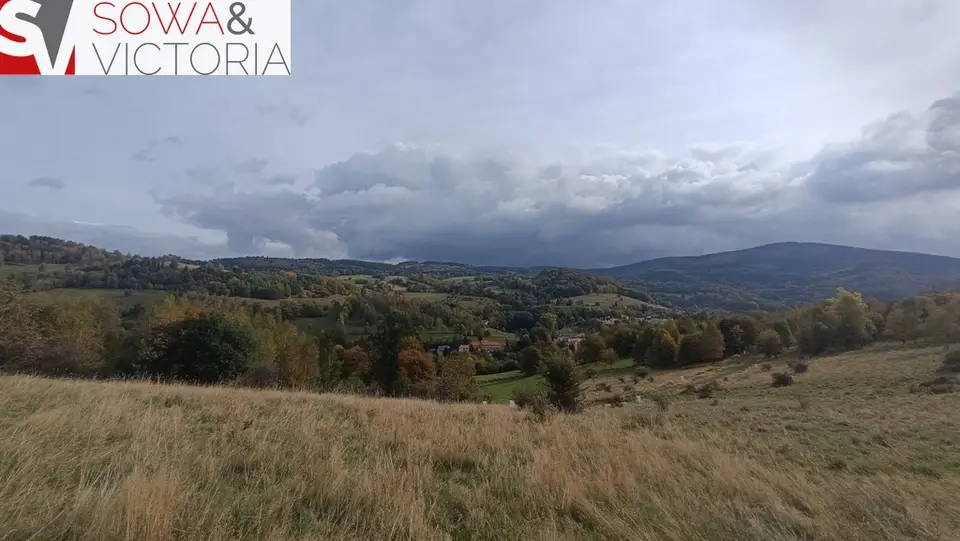 Zdjęcie 7