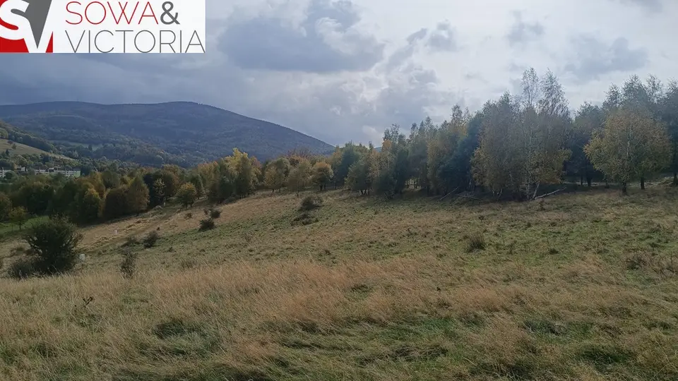 Zdjęcie 8