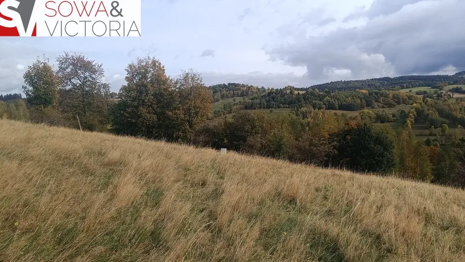 Zdjęcie 9