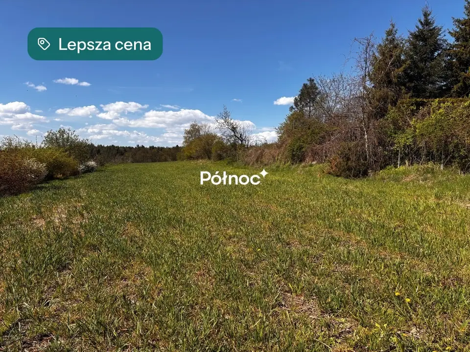 Zdjęcie 5