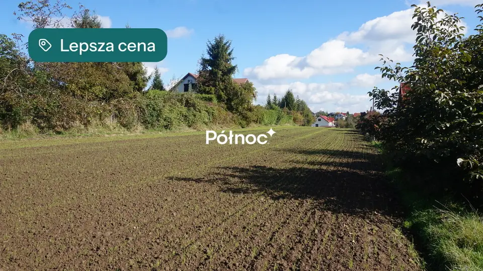 Zdjęcie 6