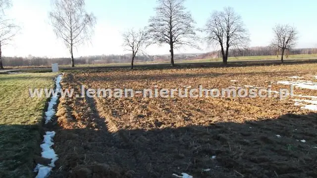 Zdjęcie 3