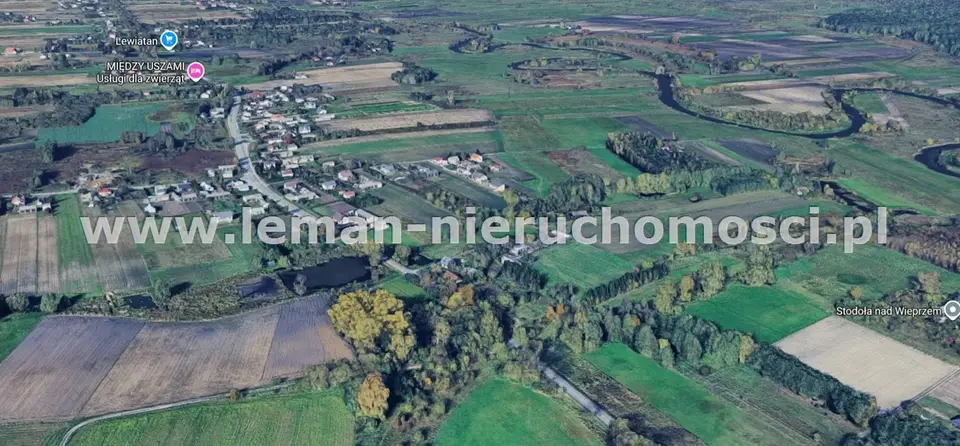 Zdjęcie 10
