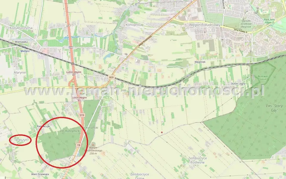 Działka leśna 2 732 m², Tereszyn