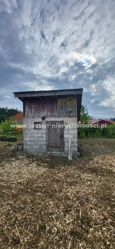 Zdjęcie 10
