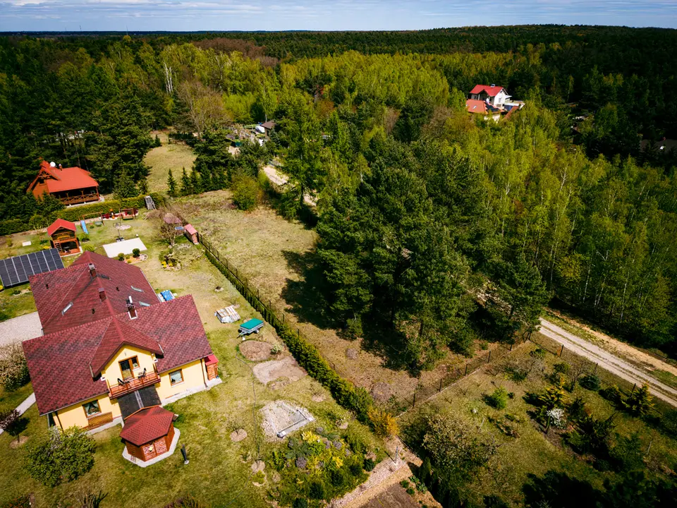 Zdjęcie 10