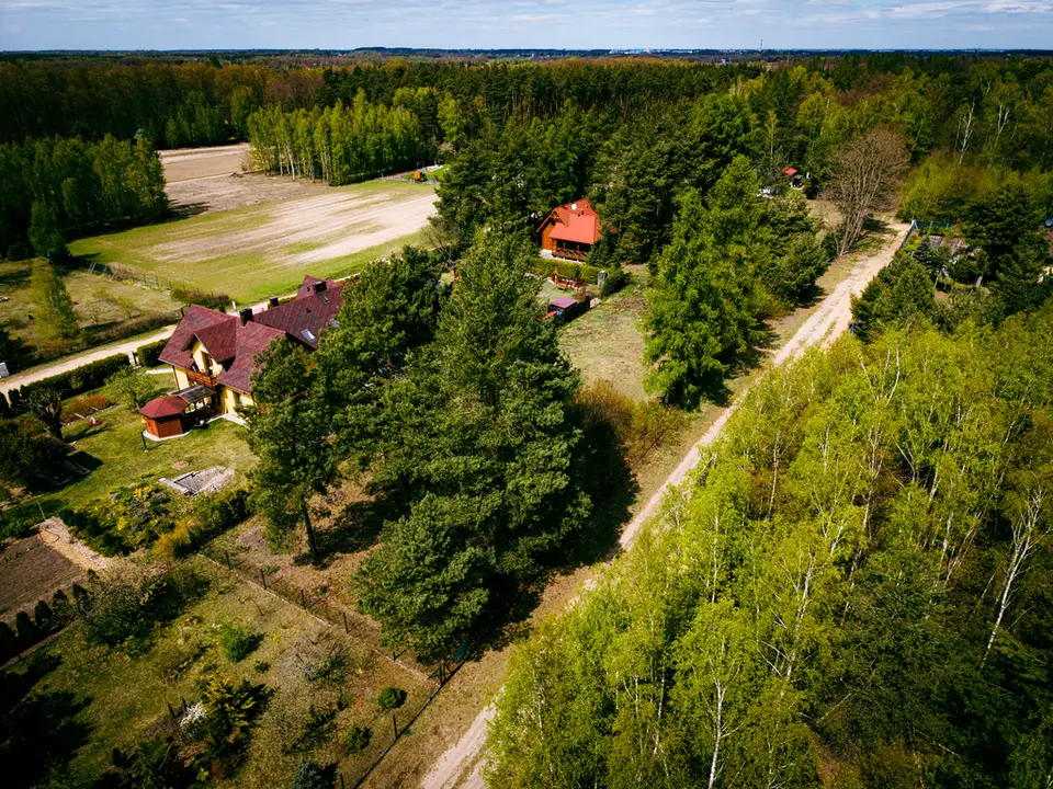 Zdjęcie 11