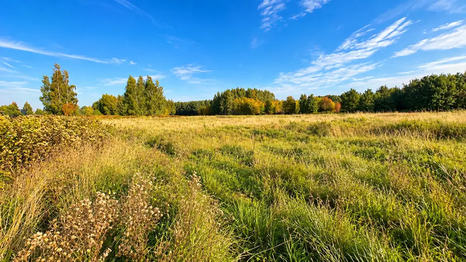 Działka budowlana 3 001 m², Szymaki