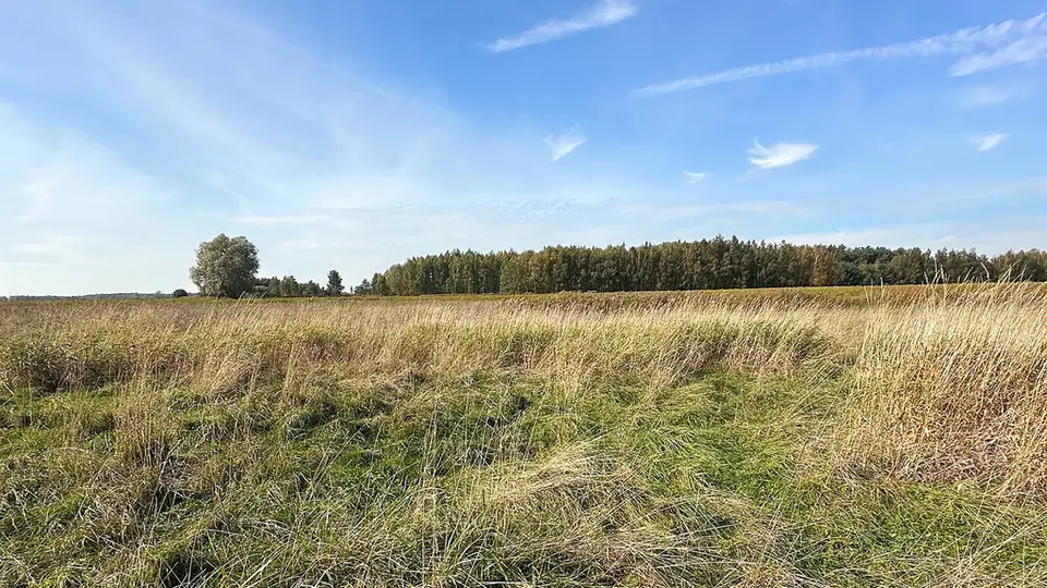 Zdjęcie 4