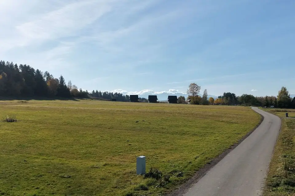 Zdjęcie 7