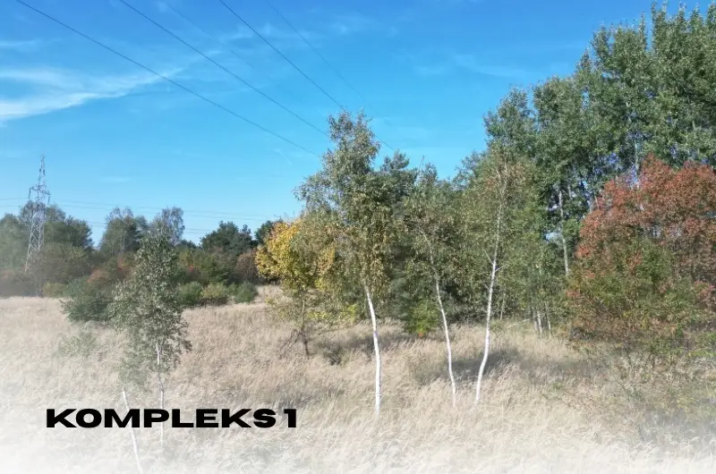 Zdjęcie 5