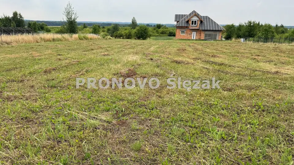Zdjęcie 3