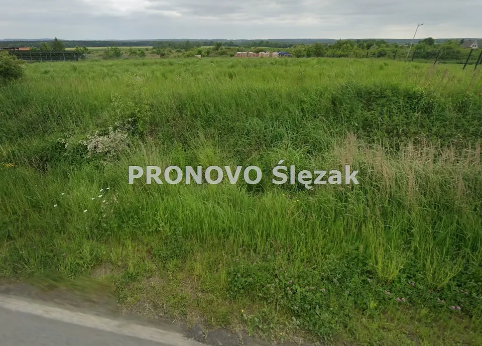 Zdjęcie 4