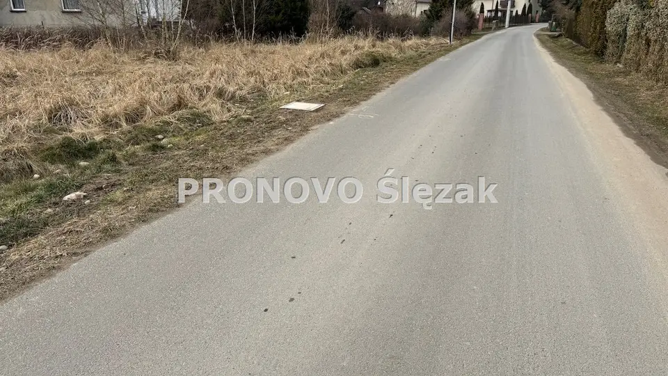 Zdjęcie 2