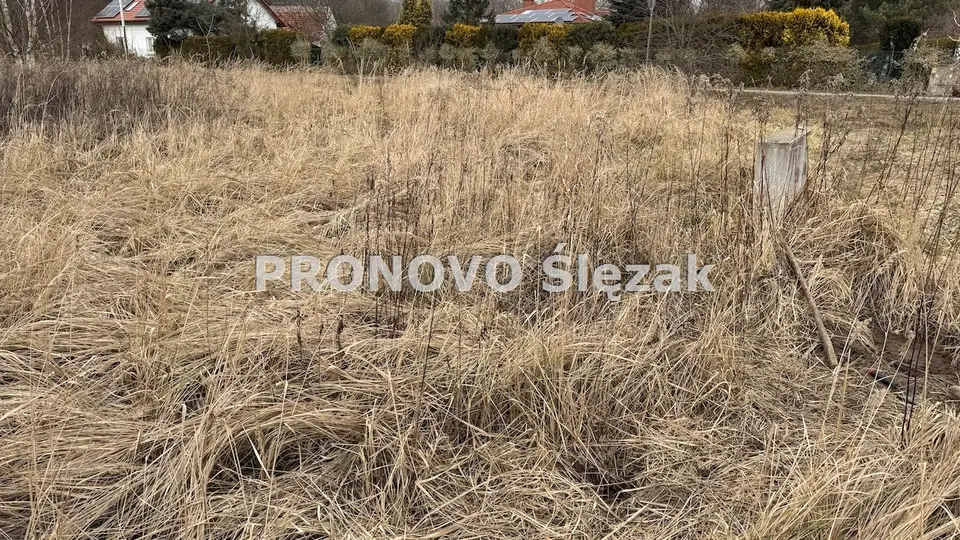 Zdjęcie 3