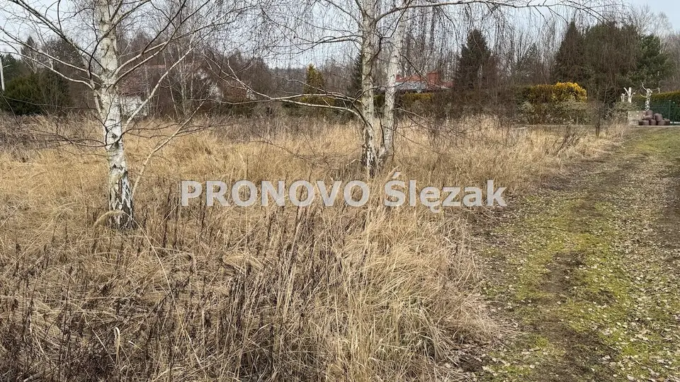 Zdjęcie 4