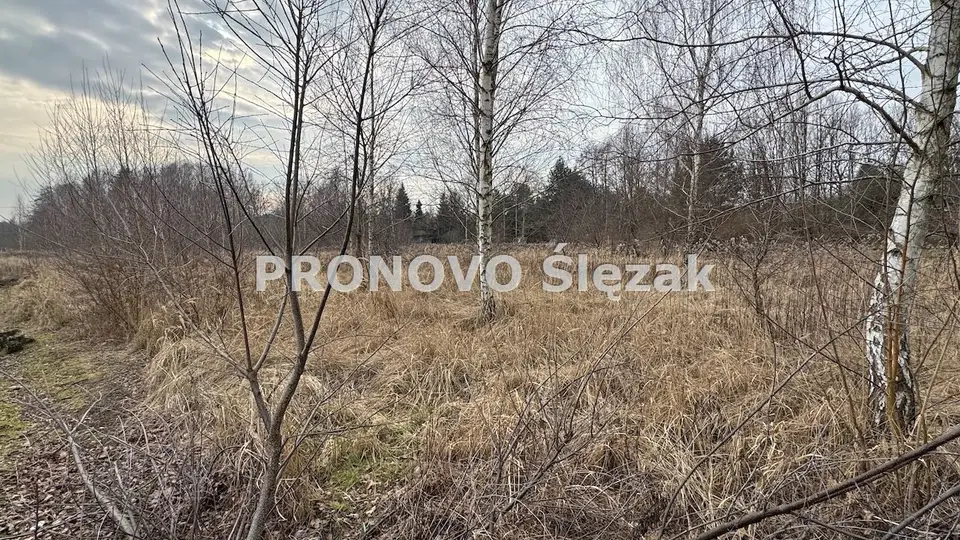 Zdjęcie 5