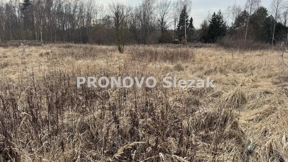 Zdjęcie 6