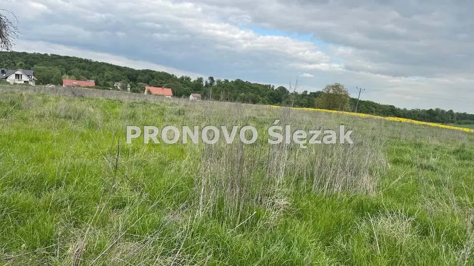 Działka rolna 1,26 ha, Skarszyn