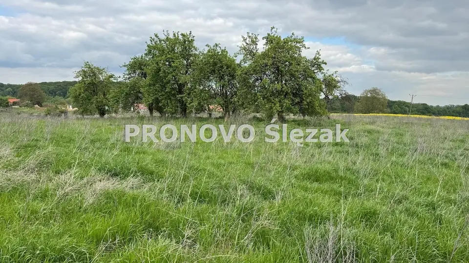 Zdjęcie 3