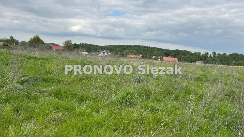 Zdjęcie 4