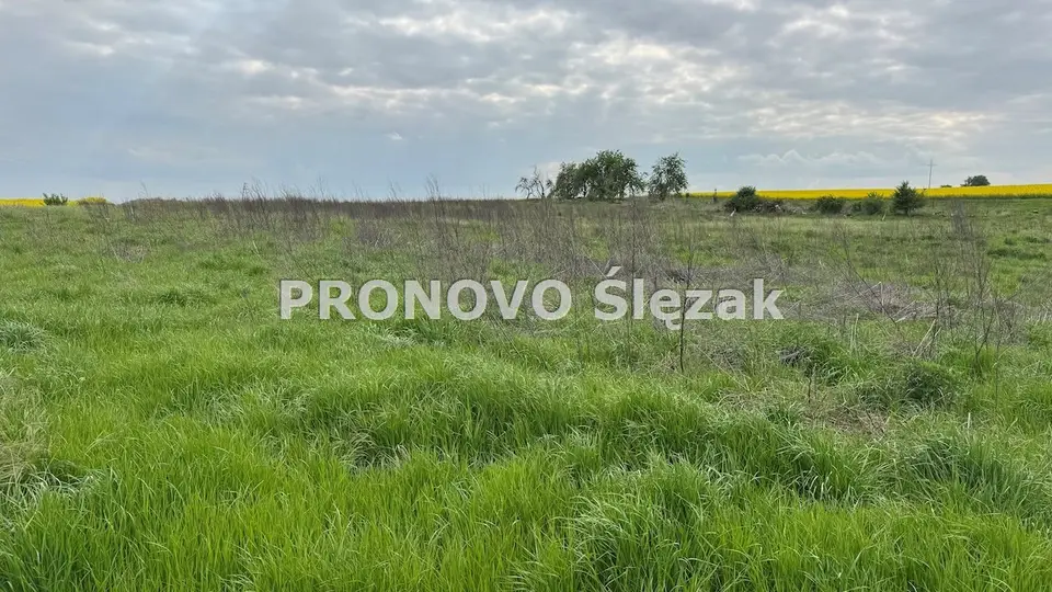 Zdjęcie 5