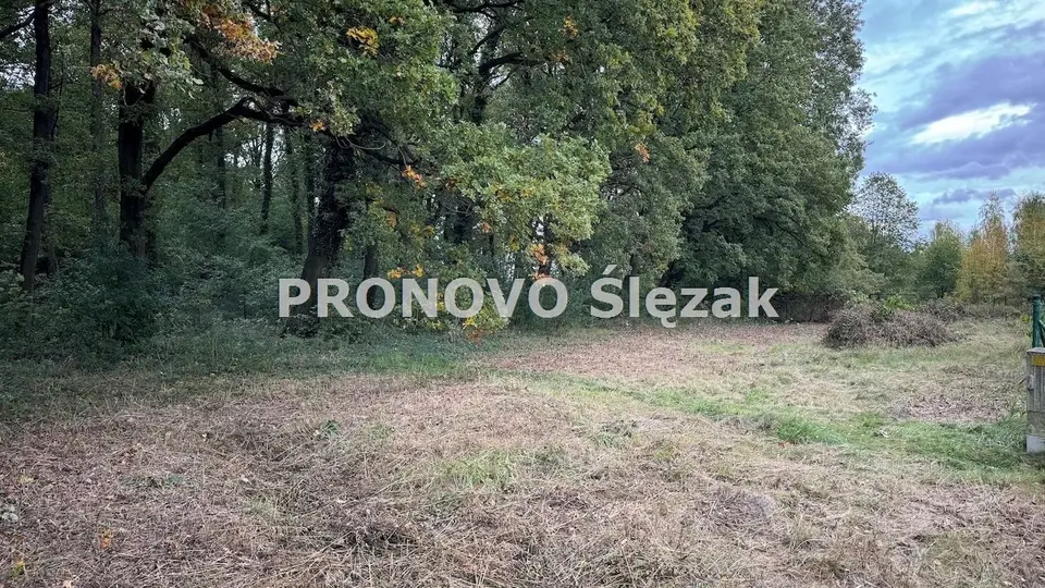 Działka budowlana 1 290 m², Siemianice