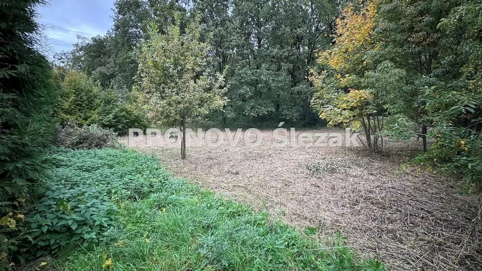 Zdjęcie 2