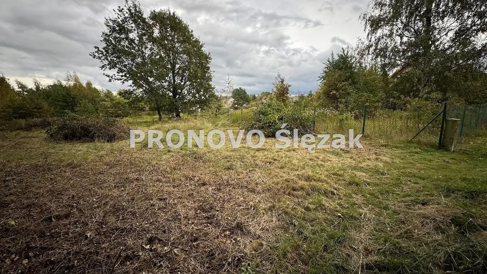 Zdjęcie 3