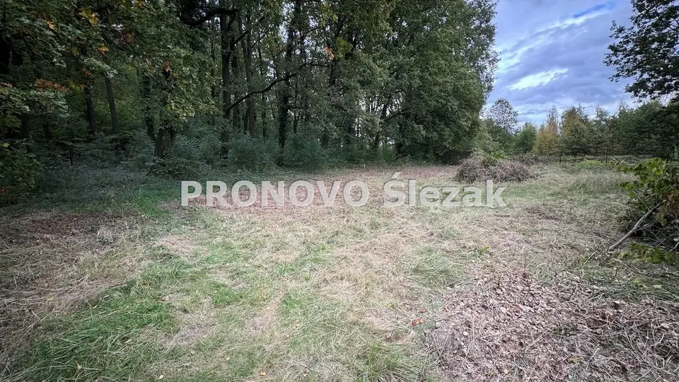 Zdjęcie 4