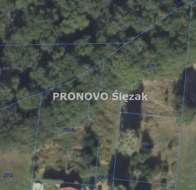 Zdjęcie 6