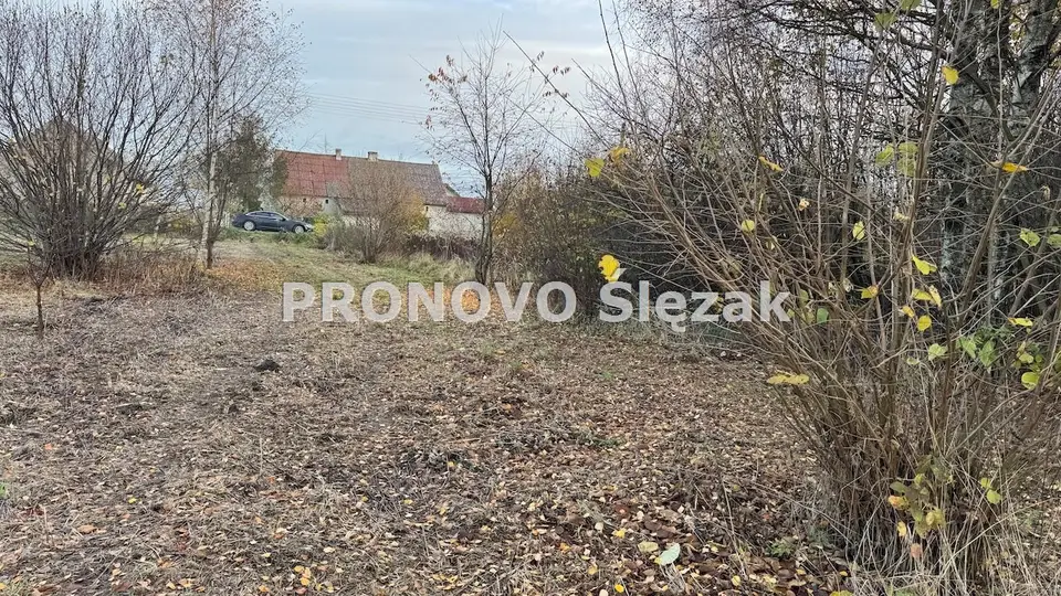 Zdjęcie 2