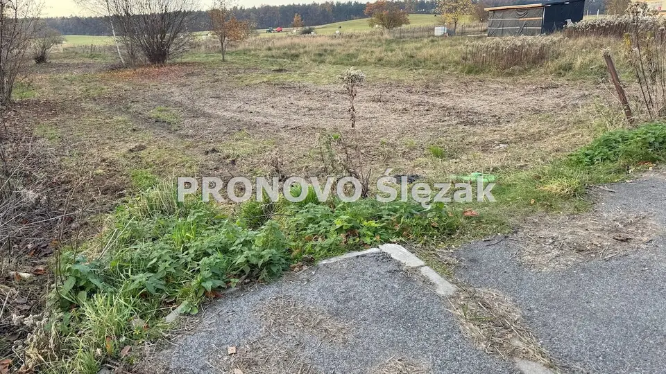 Zdjęcie 3