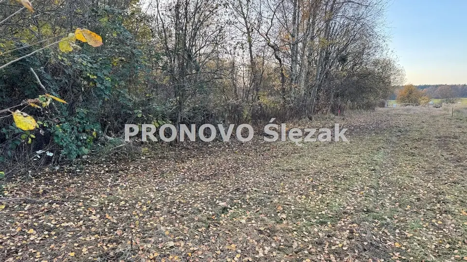 Zdjęcie 4