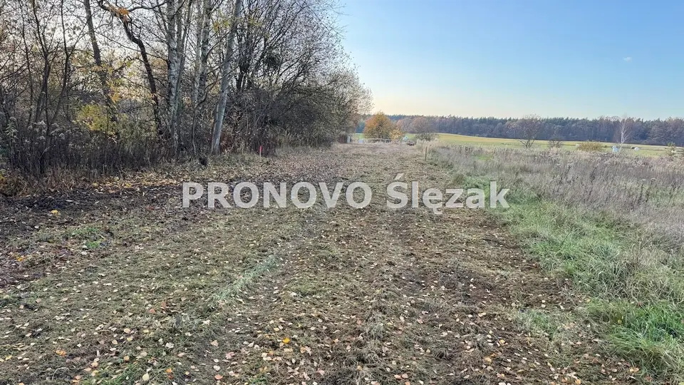 Zdjęcie 5