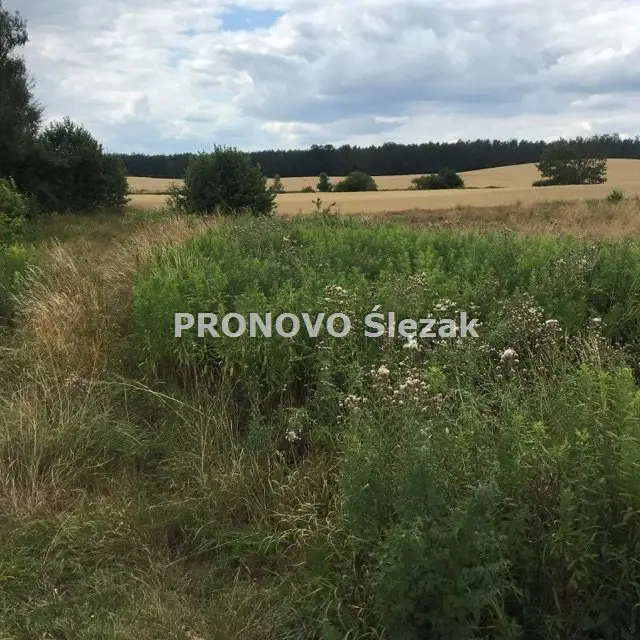 Zdjęcie 6