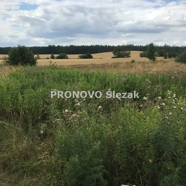 Zdjęcie 7