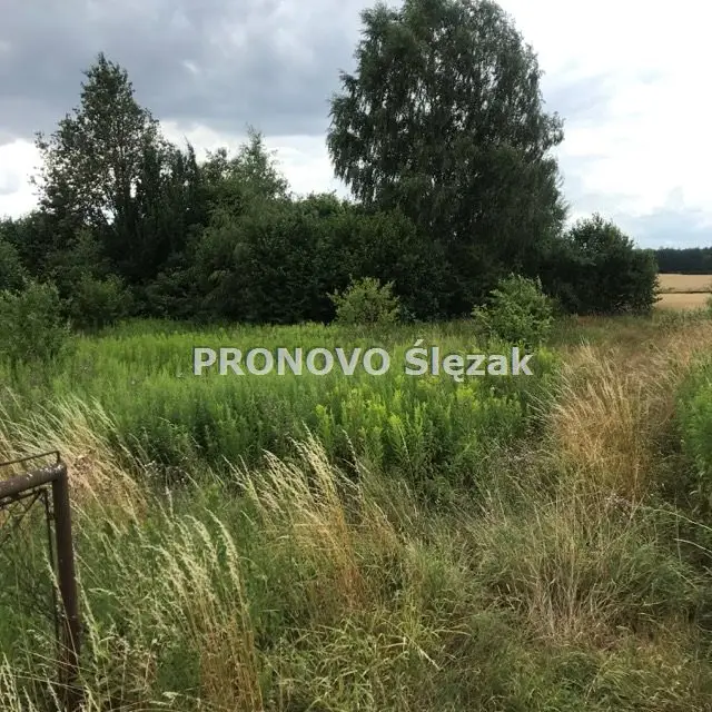 Zdjęcie 8